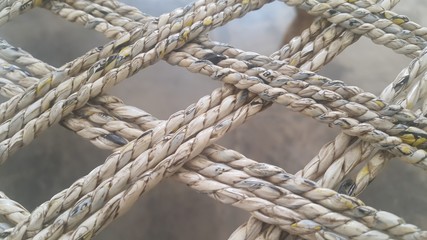 Dried jute thread or ropes interwoven for making traditional bed called charpai