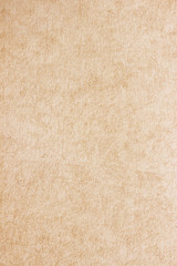 Old Paper texture. vintage paper background or texture; brown paper texture.