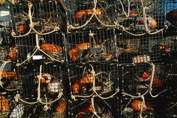 Detail of lobster traps