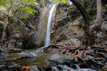 Obraz premium Autumn landscape with beautiful small waterfall splashing in the canyon and yellow autumn maple leaves in the ground at Troodos mountains in Cyprus - Panorama Millomeri waterfall near Platres in the T