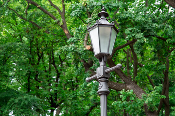 iron street lamp in retro style with glass inserts and design elements, in the park in the background trees with branches and green leaves on a summer day.