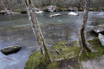 Great Smoky Mountains National Park