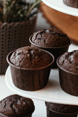 Cooking chocolate cream cupcakes. Confectioner cooks in kitchen.