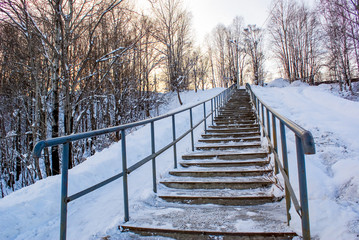 Concrete staircase with iron handrails among the trees in winter, cleared of snow.