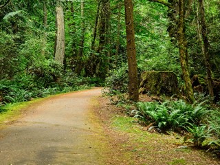 Fototapeta premium Public Ruckle Provincial Park shoreline on the Salt Spring Island