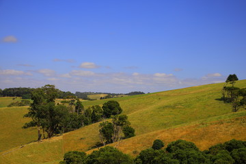 mountain and farm landscape