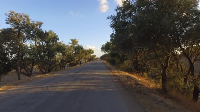 driving empty rural road at sunset in Alentejo portugal road  steady shot 4K