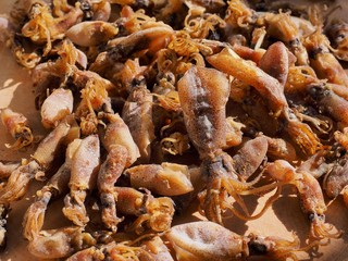 아시아의 말린 작은 꼴뚜기 