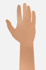 The man's hand is isolated on a white background. The mock up of palm is raised up. Vector eps illustration.
