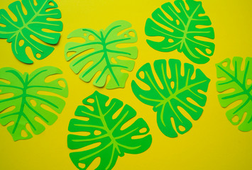 Tropical leaves made of paper