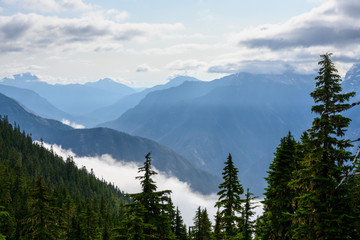 Clouds billow in the valley of North Cascades