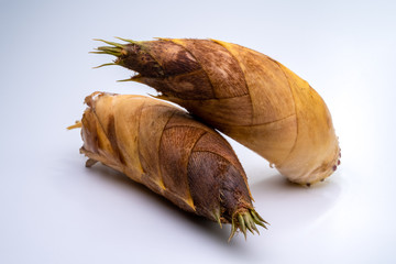 掘り立て タケノコ