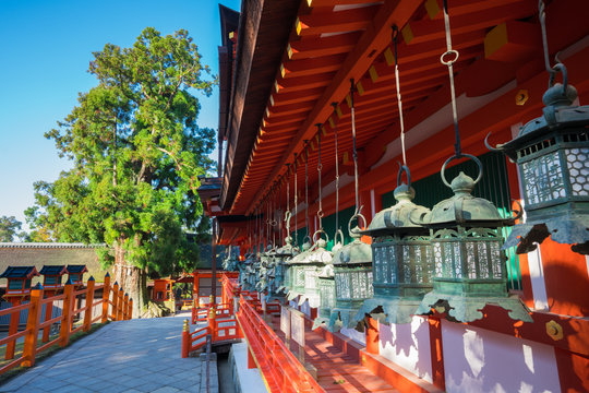 奈良　春日大社の中門と御廊（おろう）と大杉　