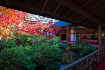 京都　実相院の紅葉