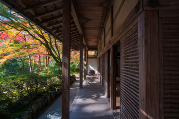 京都　西明寺の紅葉