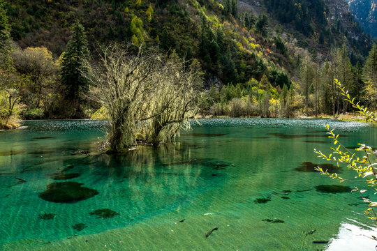 The beautiful autumn scenery of bipeng ditch