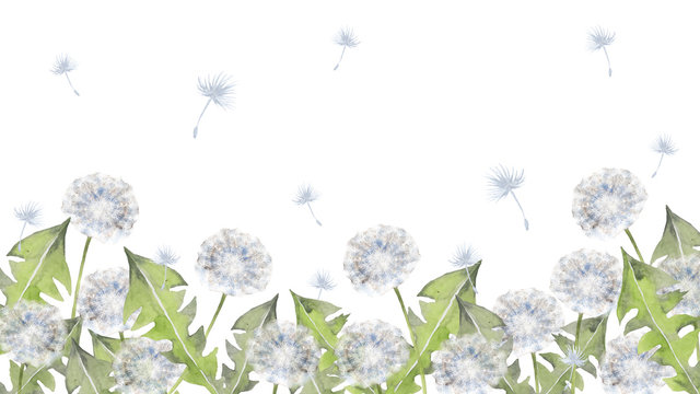 4 694 Best 綿毛 Images Stock Photos Vectors Adobe Stock 4 694 Best 綿毛 Images Stock Photos Vectors Adobe Stock