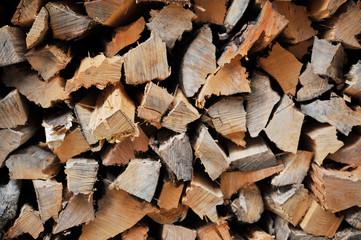 たき火のための薪