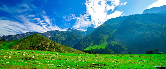 Beautiful landscape view of Sonamarg in Thajiwas park in Jammu and Kashmir, India