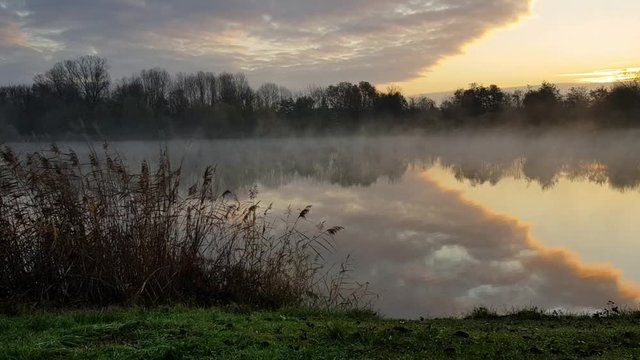 Panning view of lake with fog during sunrise, Germany Europe.