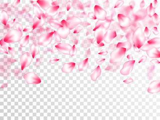 Spring tree flowers parts, airy flying petals