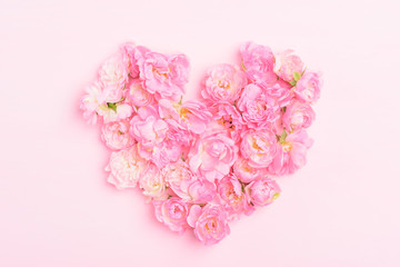 Pink roses on pink background, heart shape