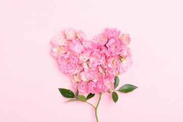 Pink roses on pink background, heart shape