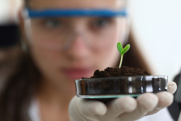 Close-up of scientist hand holding sample of sprout. Green spire growing out from soil. Researcher...