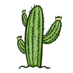 Cactus in the soil. Mexican sign. Hand drawn vector illustration. Flat cartoon style.