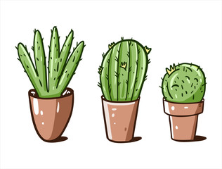 Green cactus in brown pots. Hand drawn vector illustration. Cartoon style.