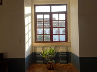 room with window and indoor plants