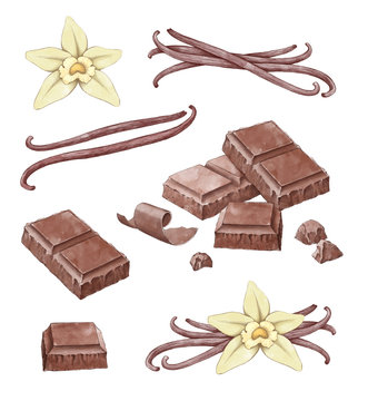 Hand drawn illustrations of vanilla and chocolate