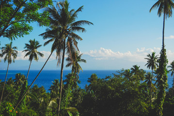 Fototapeta na wymiar Bunaken island scenery