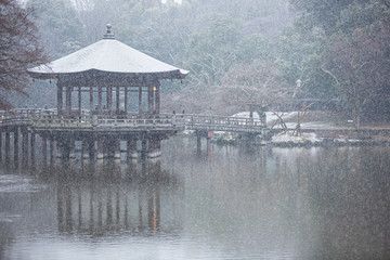 浮見堂の雪景色