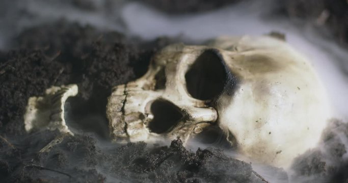 Human skull on the wet soild with smoke flowing