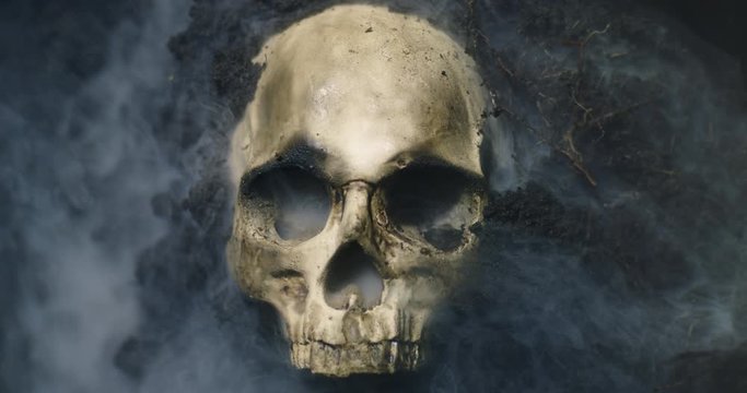 Human skull on the wet soild with smoke flowing
