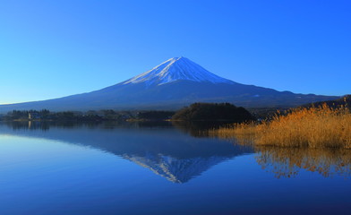Mt. Fuji of clear blue sky from Oishi Park in Lake Kawaguchi Yamanashi Prefecture Japan 01/02/2010