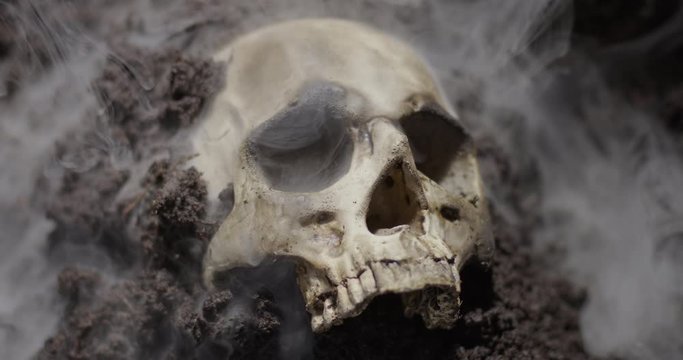 Human skull on the wet soild with smoke flowing