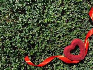 red flower on a green background. St Valentine's Day card