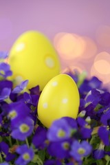 Easter holiday.Yellow easter eggs in bright violet colors on a light purple background with golden bokeh.Spring festive  background.