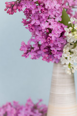 bouquet of purple and white flowers (lilac) in a white ceramic vase on a blue background close up, selective focus, copy space