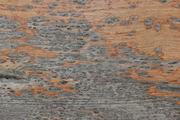 wood board texture weathered background