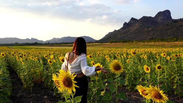 slow-motion of cheerful woman walking and enjoying with sunflower field at Kao Jeen Lae in Lopburi, Thailand