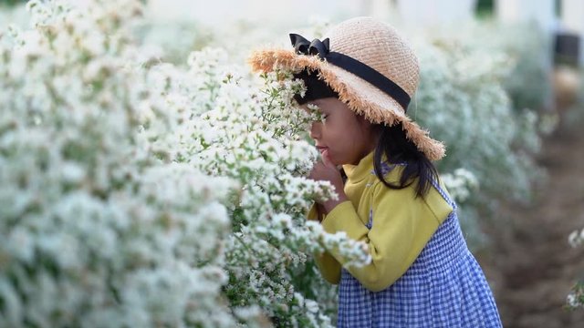Asian cute child girl is smelling the white beautiful natural flower with happiness in the cutter flower garden.