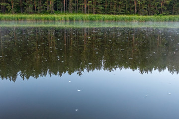 Obraz premium the reflected forest of the opposite Bank in the river on which frothy chunks