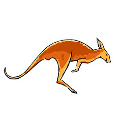 Minimal colorful hand drawing of wallaby. Sketch on white background.