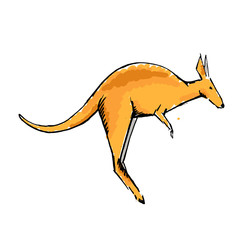 Sketch style wallaby illustration isolated on white.