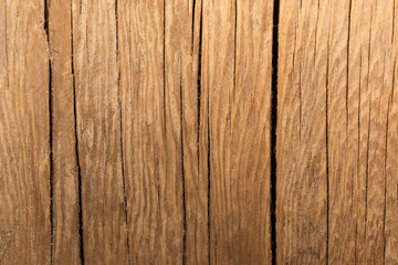 Close-up texture of an old cracked tree in a cut.