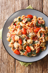 Italian orecchiette pasta cooked with spinach and parmesan in tomato sauce close-up in a plate. Vertical top view