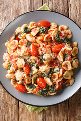 orecchiette pasta with spinach and parmesan cheese in tomato sauce close-up in a plate. Vertical top view